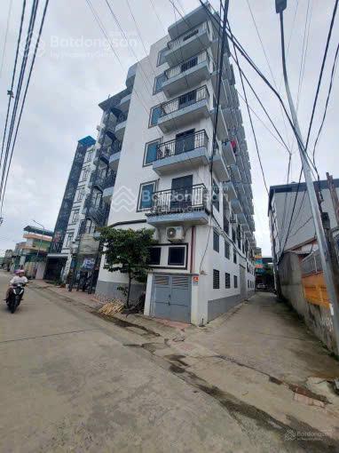 Đấu giá tân xã  hòa lạc  lô góc  dt 132m2  mt 15m  mới đấu ngày 25/7/2026  cộng chênh.