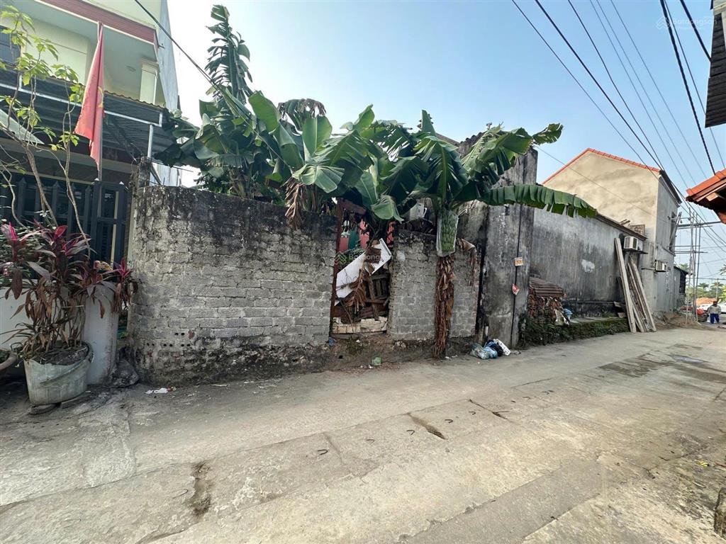 Chính chủ gửi bán đất năm trại, sài sơn, quốc oai.