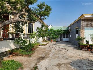 Bán đất tặng nhà 500m2 full thổ cư