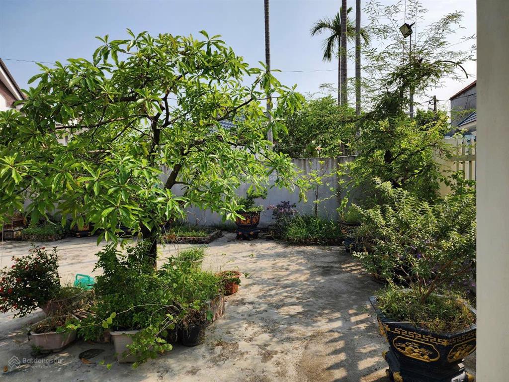 Bán đất tặng nhà 500m2 full thổ cư