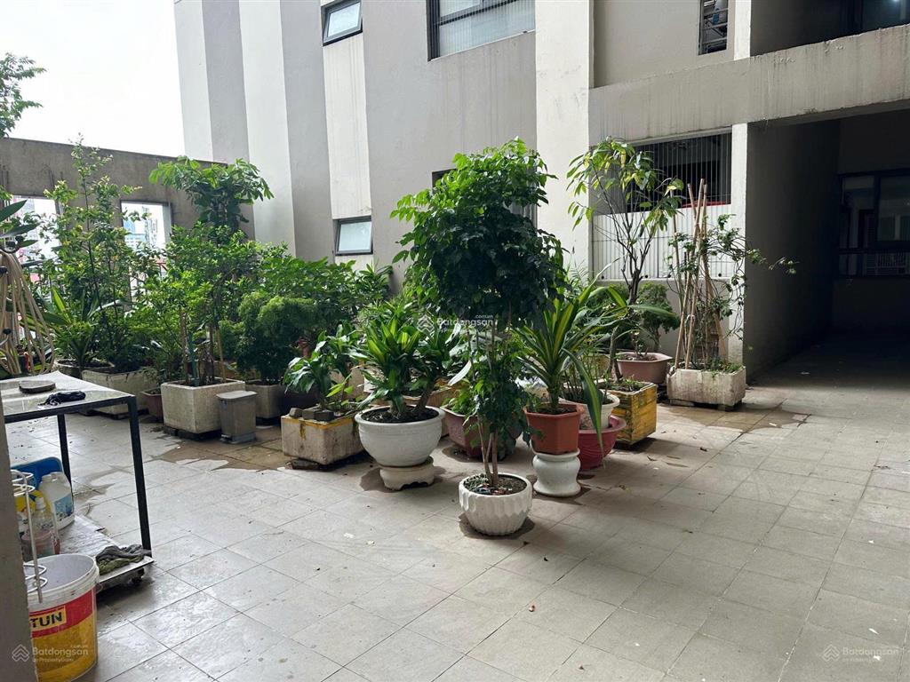 Siêu hot  mỹ đình plaza 1, trần bình sẵn căn 74m2 2pn 2vs full nội thất chỉ 11,5tr/th 0968 113 ***