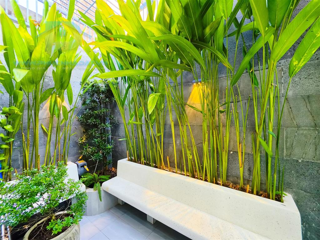Căn duy nhất còn sót lại, ngang 5m có thang máy, bước 1 bước ra công viên quận 7  giá 17.5 tỷ