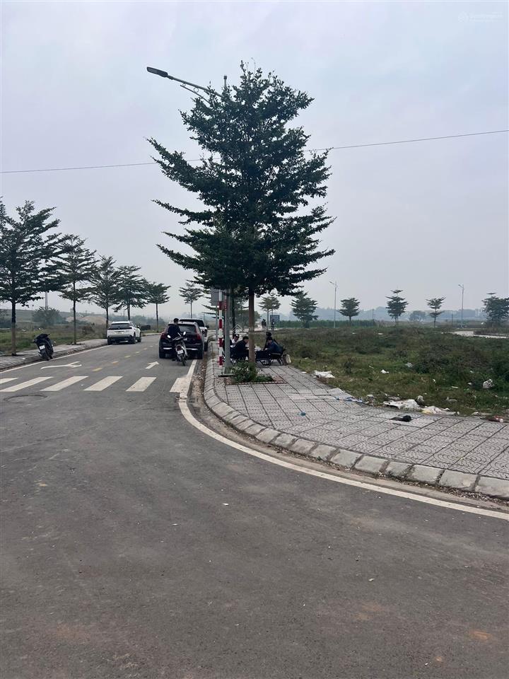 Cơ hội đầu tư đất đấu giá xã tráng việt, mê linh, vị trí đắc địa, pháp lý rõ ràng