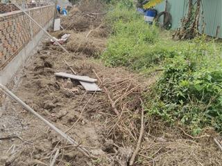 Chính chủ bán 650m2 có 371m2 thổ cư. ngang 6.5 mét vuông vức, lọt khe mặt tiền kênh xáng lớn