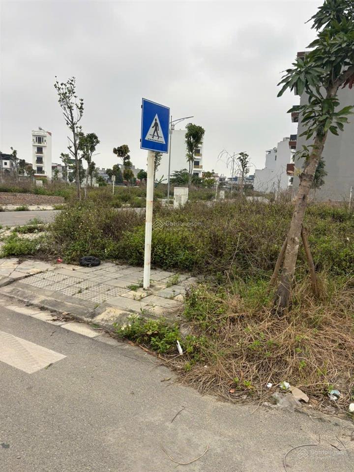 Chuyển nhượng hoa hậu lô góc bánh trưng 84m2 hai mặt tiền đường 15m tiềm năng khu 9,2 ha cát bi hp