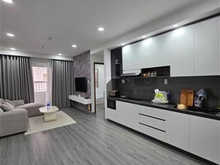 Bán căn hộ 50m2 1pn sổ hồng  khu babylon âu cơ tân phú  nhà đẹp full nội thất ở ngay