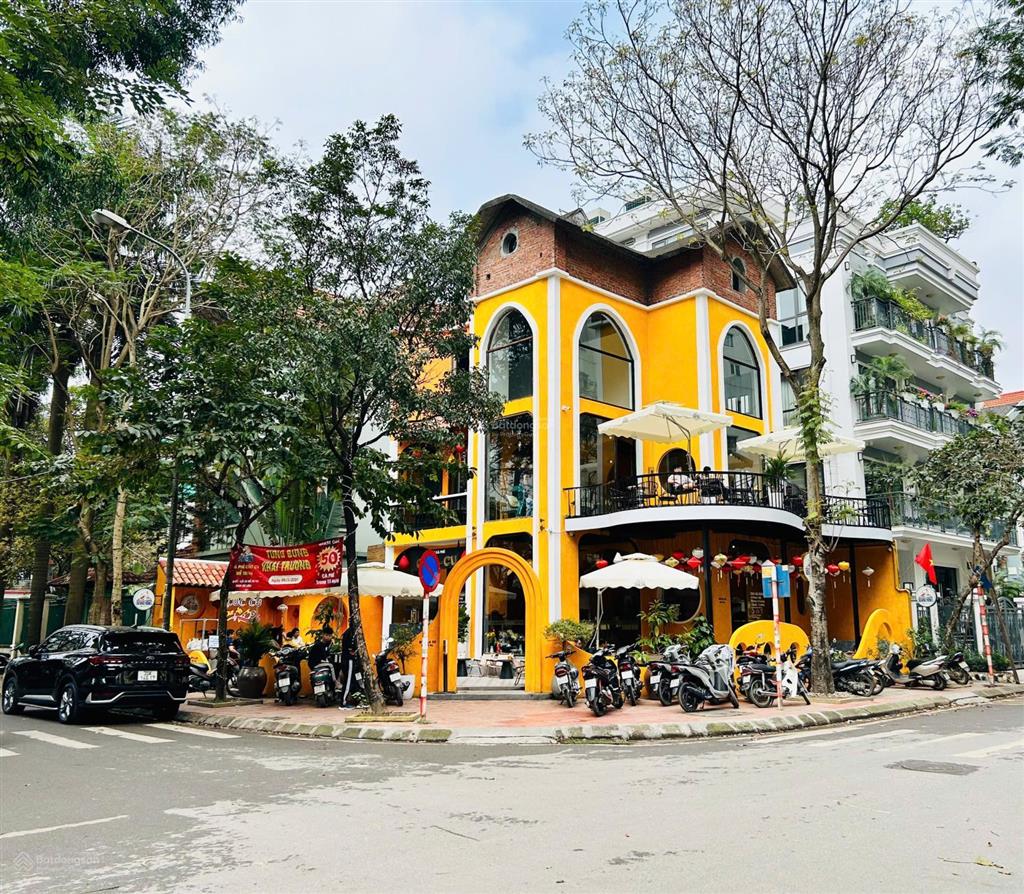 Siêu phẩm 2 mặt tiền nguyễn khánh toàn, dt đất 280m2, dtsd 121m2 x 3 tầng + tum, mt 30m, giá