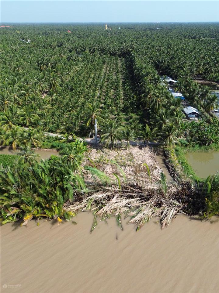 Đất ven sông mekong 379 triệu/1.000m2, bán trọn 6.969m2 có 300m2 thổ cư