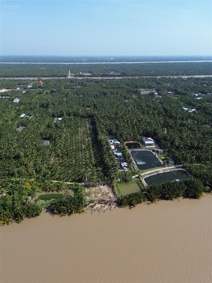 Đất ven sông mekong 379 triệu/1.000m2, bán trọn 6.969m2 có 300m2 thổ cư
