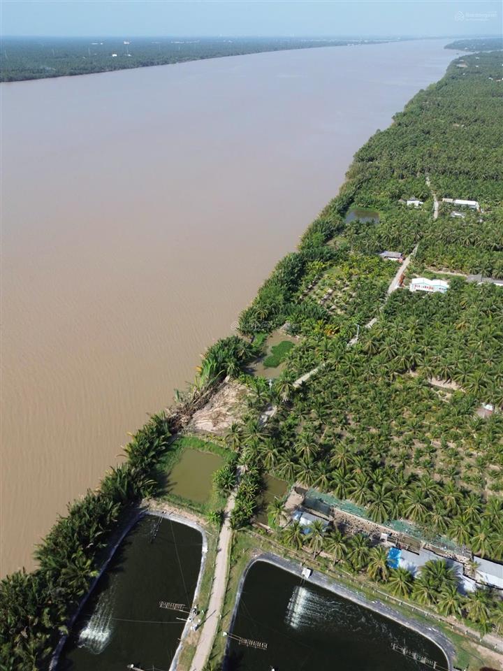 Đất ven sông mekong 379 triệu/1.000m2, bán trọn 6.969m2 có 300m2 thổ cư