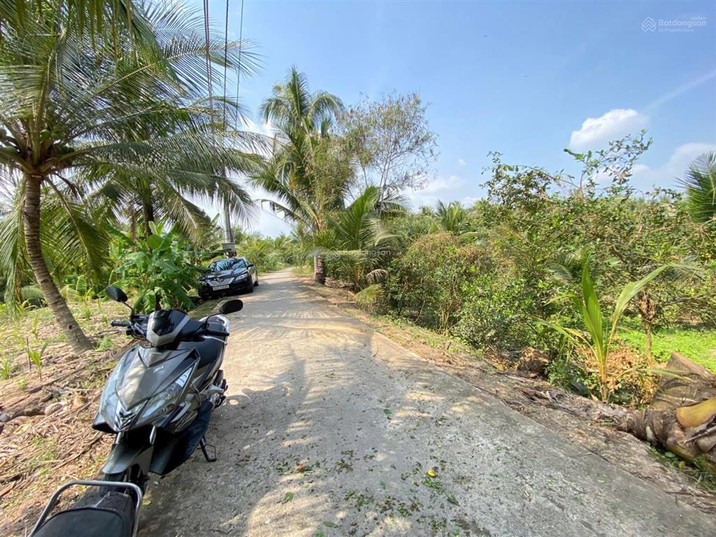 Đất ven sông mekong 379 triệu/1.000m2, bán trọn 6.969m2 có 300m2 thổ cư