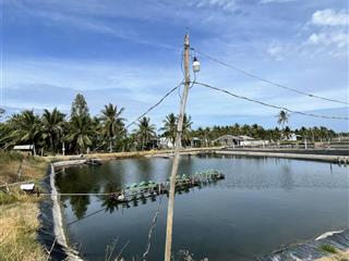 Mặt tiền sông cửa đại  sông mekong  có 300m2 thổ cư sẵn giá 230tr/1.000m2