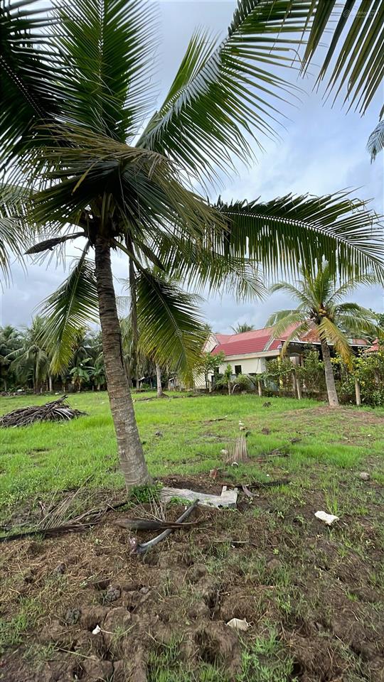 4.413m² đất giáp rạch 150m² thổ cư gần chợ rạch vách cù lao tân phú đông