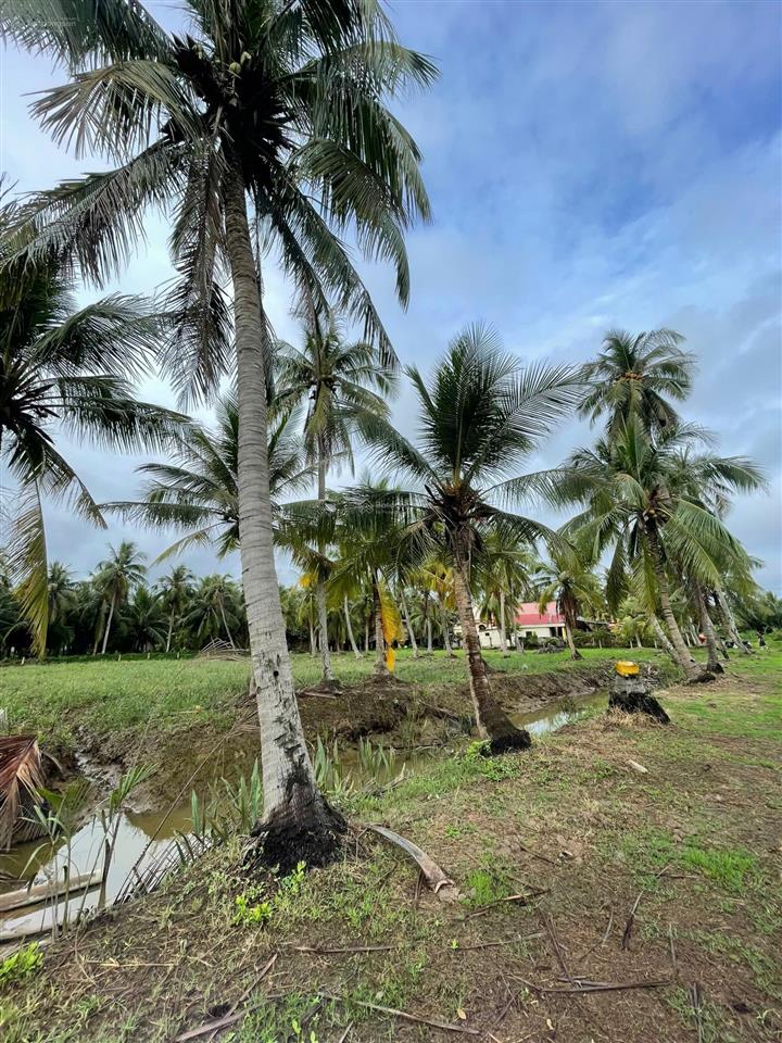 4.413m² đất giáp rạch 150m² thổ cư gần chợ rạch vách cù lao tân phú đông