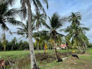 4.413m² đất giáp rạch 150m² thổ cư gần chợ rạch vách cù lao tân phú đông