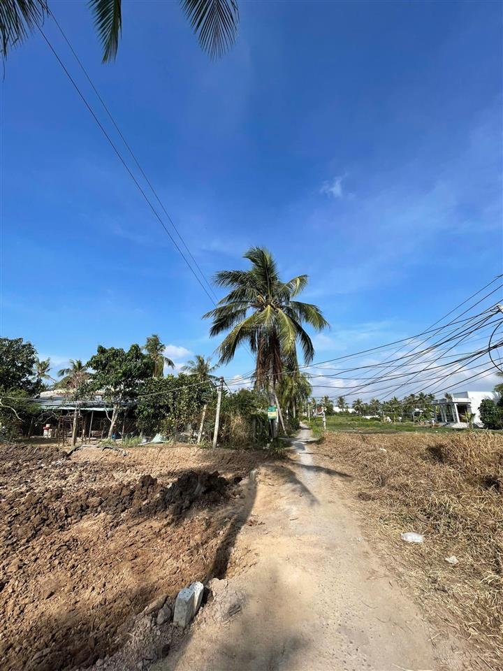 Đất thổ cư giá rẻ tân phú đông 115m² đường ô tô giảm sốc còn 170 triệu bao sang tên