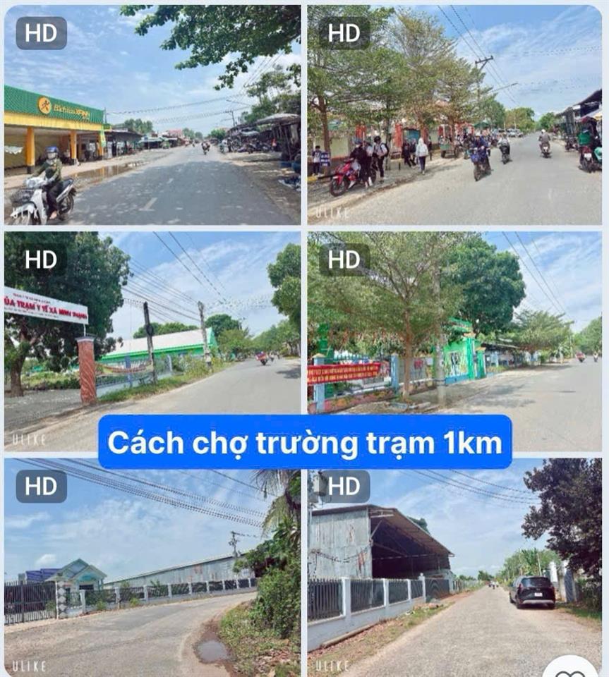 Sốc đất dầu tiếng  tphcm chỉ 468 triệu có 100m2 thổ cư, đường nhựa qh 15m