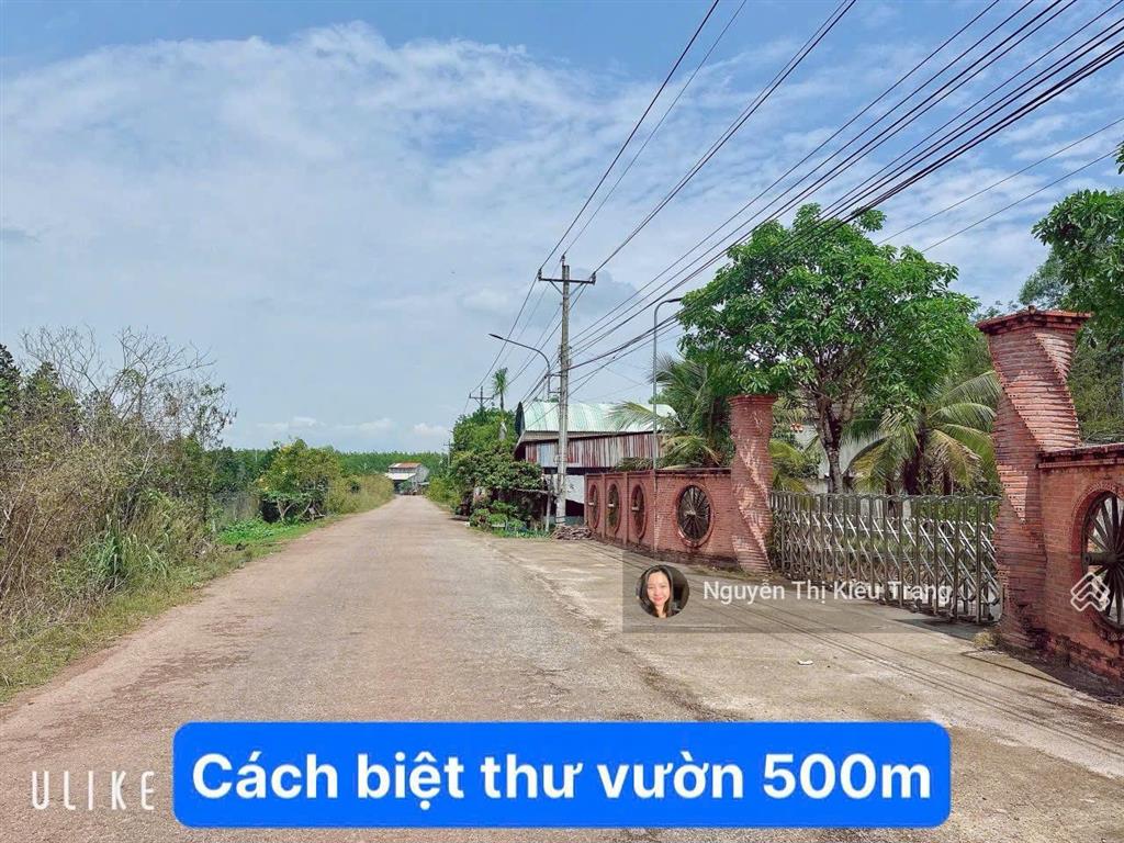 Sốc đất dầu tiếng  tphcm chỉ 468 triệu có 100m2 thổ cư, đường nhựa qh 15m