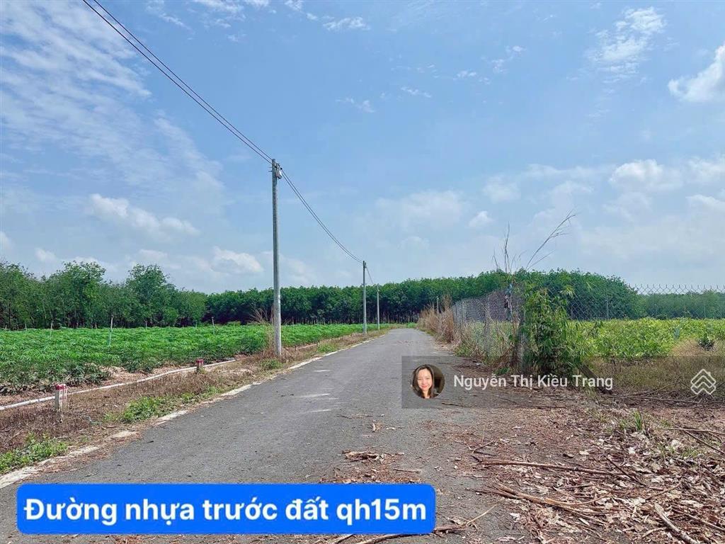 Sốc đất dầu tiếng  tphcm chỉ 468 triệu có 100m2 thổ cư, đường nhựa qh 15m