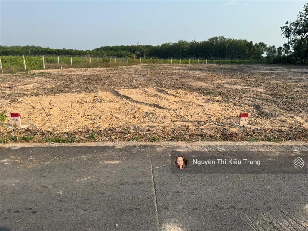 Sốc đất dầu tiếng  tphcm chỉ 468 triệu có 100m2 thổ cư, đường nhựa qh 15m