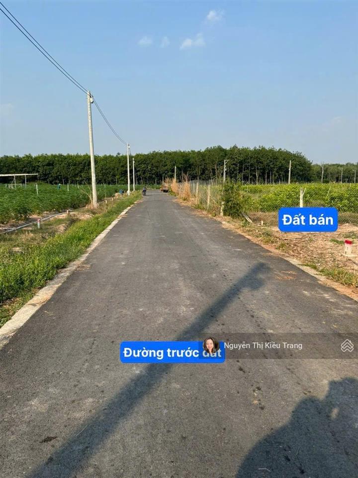 Sốc đất dầu tiếng  tphcm chỉ 468 triệu có 100m2 thổ cư, đường nhựa qh 15m