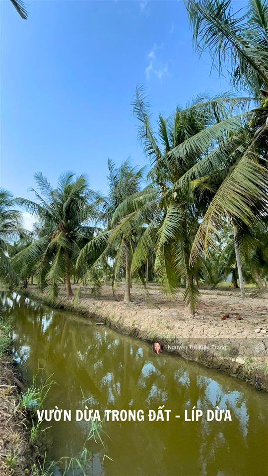 Siêu phẩm view sông cửa đại 9.405m² chủ vừa giảm còn 250tr/công