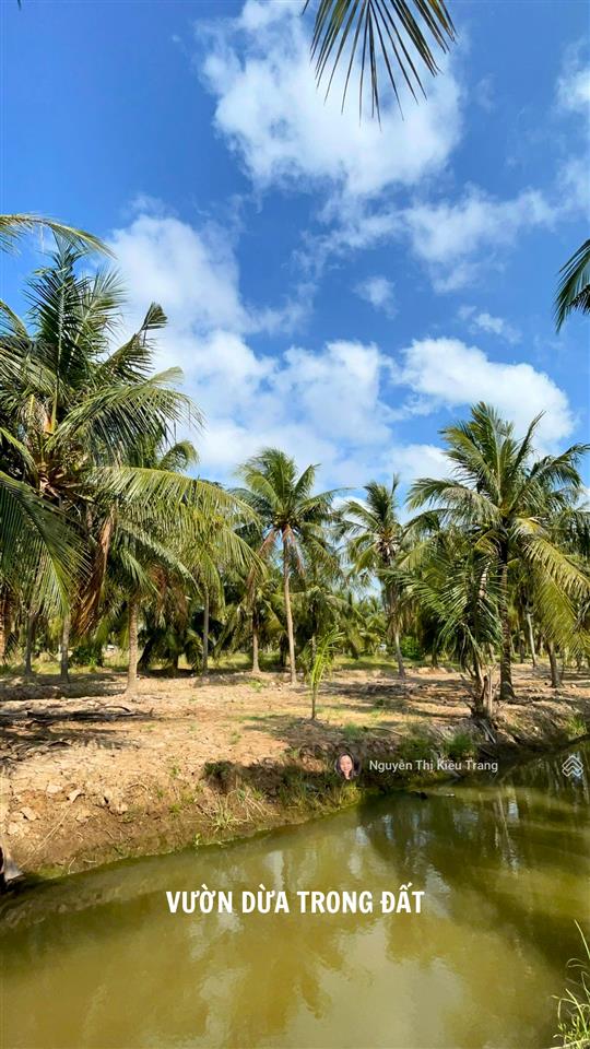 Siêu phẩm view sông cửa đại 9.405m² chủ vừa giảm còn 250tr/công