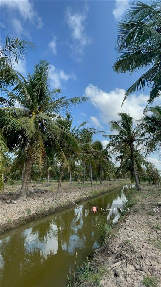 Siêu phẩm view sông cửa đại 9.405m² chủ vừa giảm còn 250tr/công