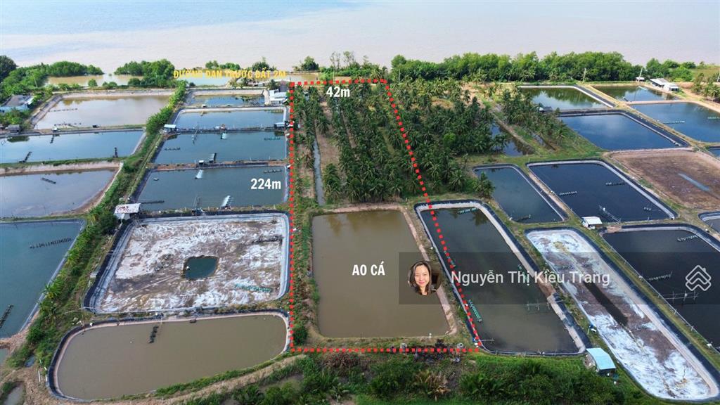 Siêu phẩm view sông cửa đại 9.405m² chủ vừa giảm còn 250tr/công