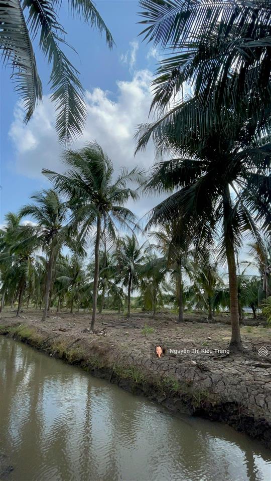 Siêu phẩm view sông cửa đại 9.405m² chủ vừa giảm còn 250tr/công