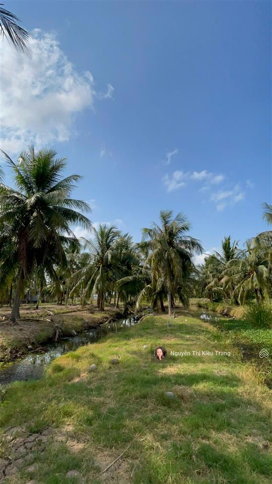 Siêu phẩm view sông cửa đại 9.405m² chủ vừa giảm còn 250tr/công