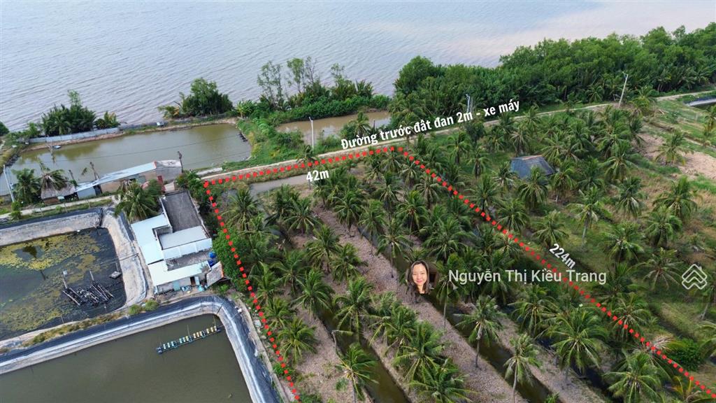 Siêu phẩm view sông cửa đại 9.405m² chủ vừa giảm còn 250tr/công
