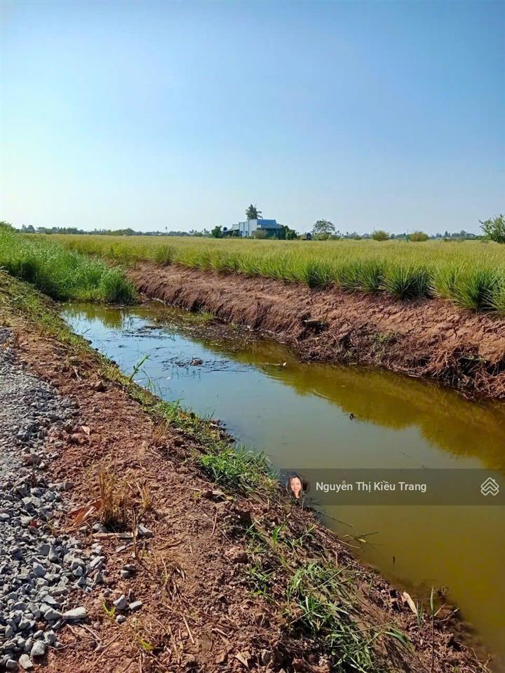 Đất thổ cư view kênh tiền giang giá rẻ 179 triệu sở hữu ngay nền đẹp