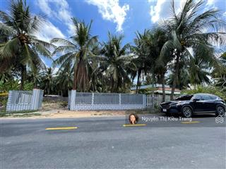 Mặt tiền đường tỉnh 877b gần phà bình ninh giá bán 1 tỷ 750 triệu (còn thương lượng)