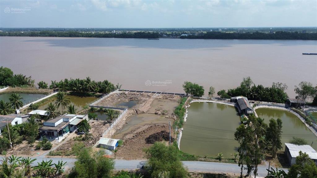 2,563m2 ven sông mekong tiền giang có thổ cư, có kè xây kiên cố giá nào cho nhà đầu tư nhanh?