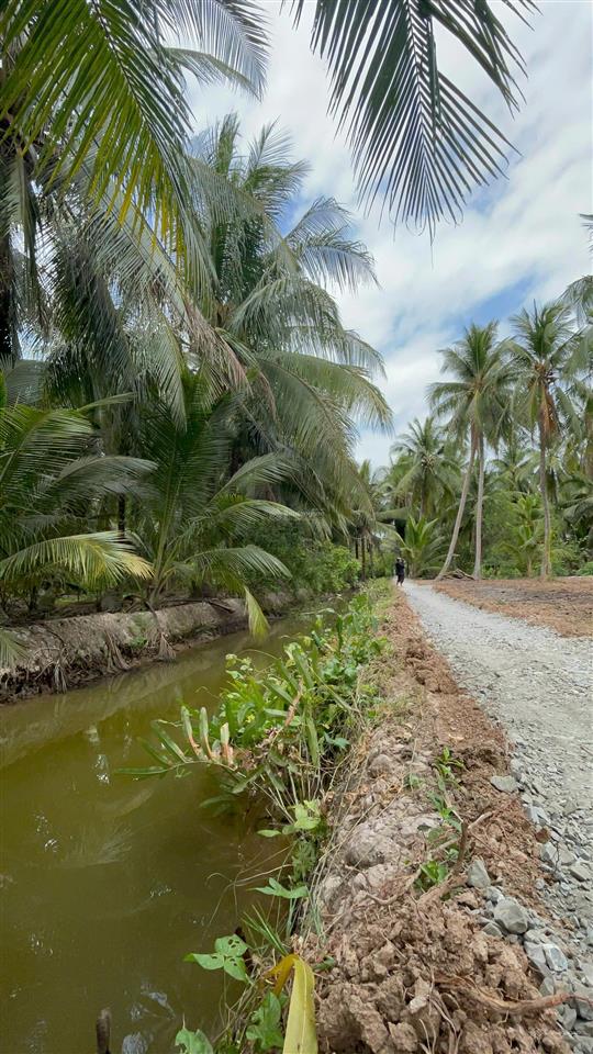 Đất thổ cư sát phà bình ninh diện tích lớn hiếm, giá mềm bất ngờ