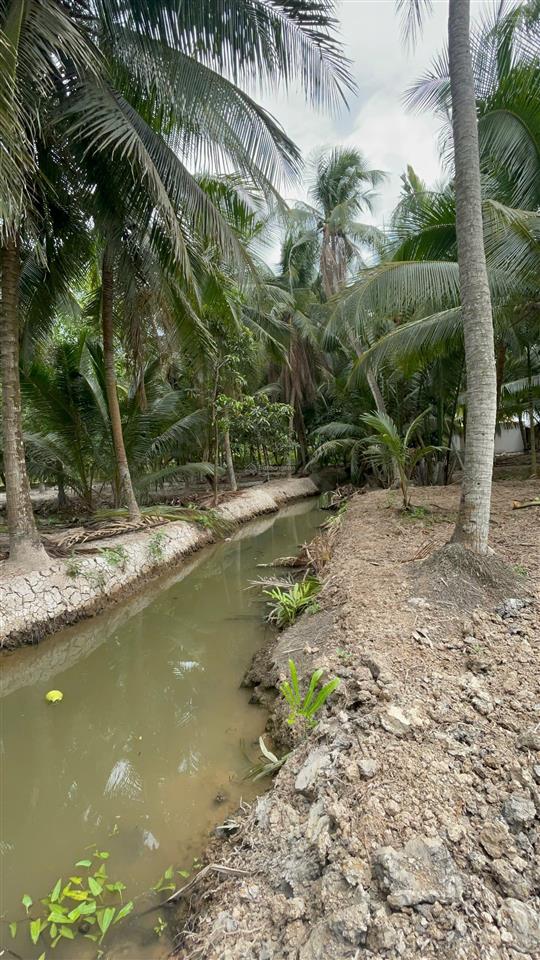 Đất thổ cư sát phà bình ninh diện tích lớn hiếm, giá mềm bất ngờ