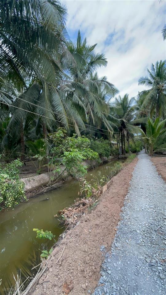 Đất thổ cư sát phà bình ninh diện tích lớn hiếm, giá mềm bất ngờ