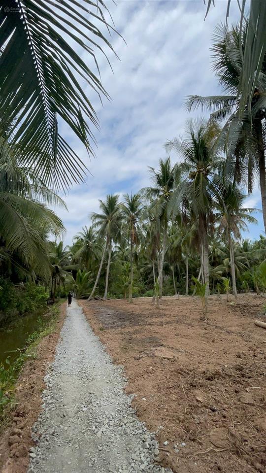 Đất thổ cư sát phà bình ninh diện tích lớn hiếm, giá mềm bất ngờ