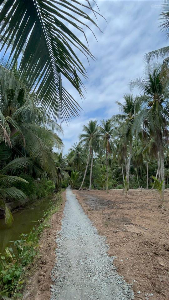 Đất thổ cư sát phà bình ninh diện tích lớn hiếm, giá mềm bất ngờ
