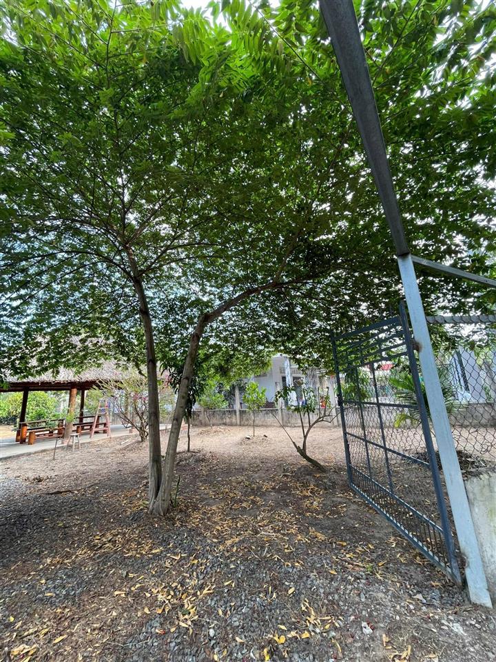 Vườn trái cây 696m2 có 100m2 thổ cư sẵn chòi nghỉ, giá 799 triệu tân phú đông
