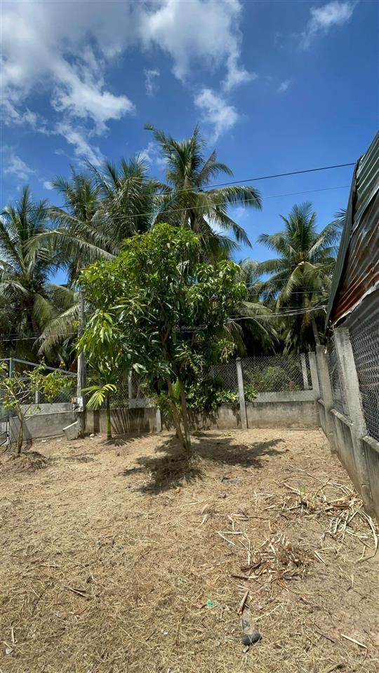 Vườn trái cây 696m2 có 100m2 thổ cư sẵn chòi nghỉ, giá 799 triệu tân phú đông