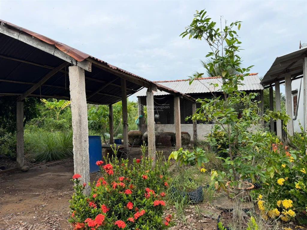 Bán nhà vườn nghỉ dưỡng 3.471m2 có 300m2 thổ cư, mặt tiền nhựa 83c, tân phú đông 1,5 tỷ