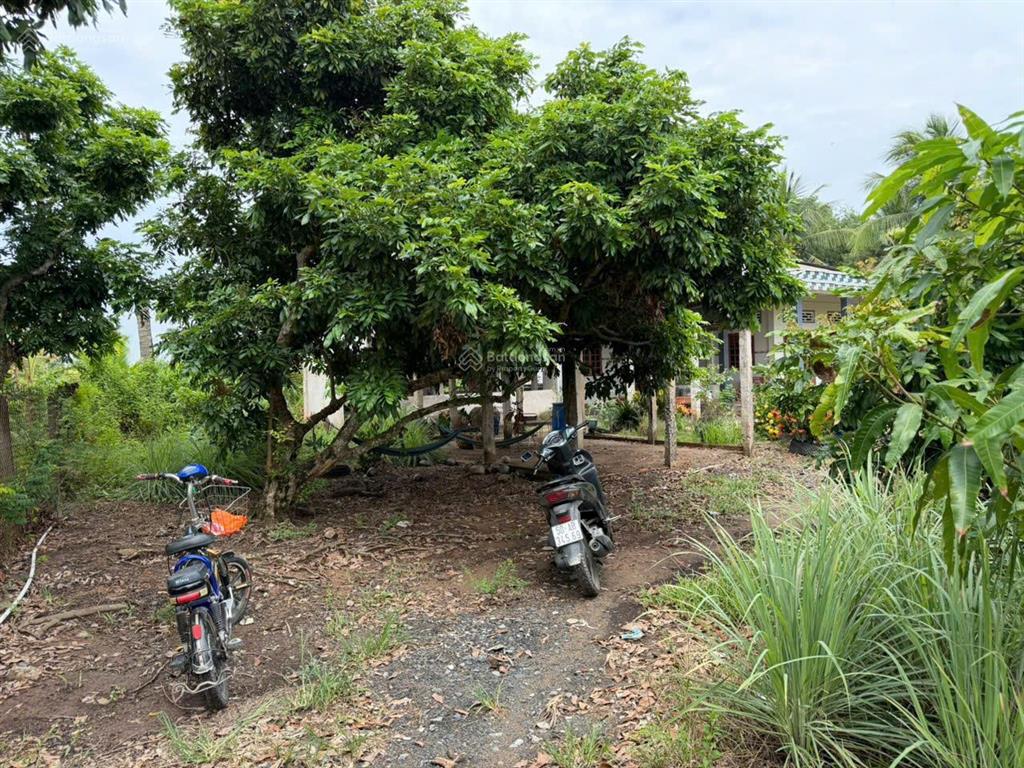 Bán nhà vườn nghỉ dưỡng 3.471m2 có 300m2 thổ cư, mặt tiền nhựa 83c, tân phú đông 1,5 tỷ