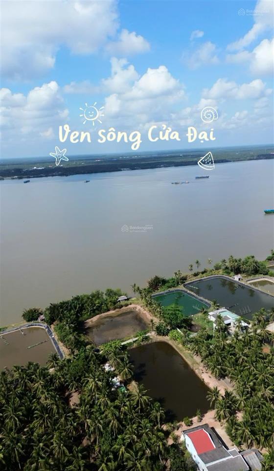 Mặt tiền sông cửa đại phù hợp nghỉ dưỡng | 599 triệu | diện tích 2,249m2
