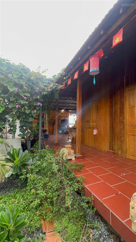 Nhà gỗ bên sông sát phà bình ninh 400m² thổ cư, sẵn kè kiên cố