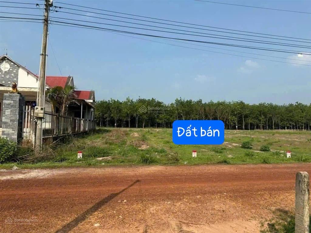 Đất thổ cư long hòa tphcm (bình dương cũ) | 206m² có sẵn 100m² thổ cư | chỉ 299 triệu
