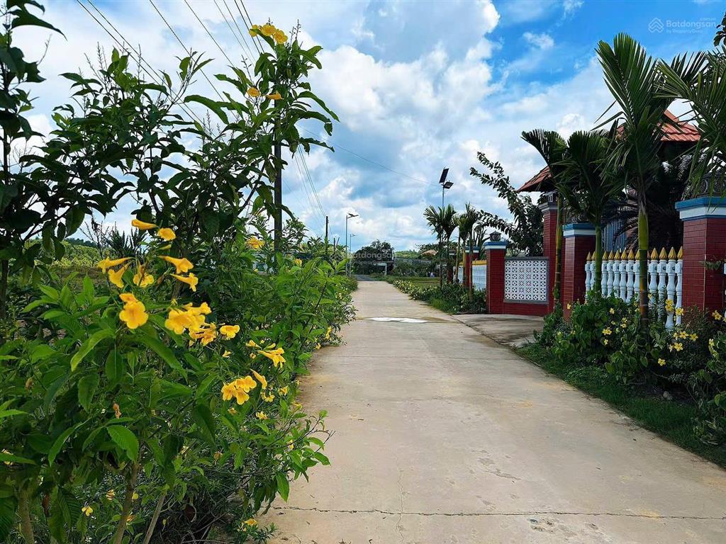 199tr tậu đất lâm đồng  đạ tẻh dt 189m2 thổ cư
