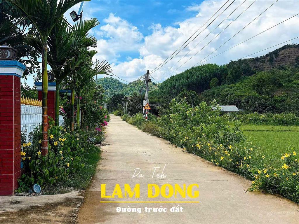 199tr tậu đất lâm đồng  đạ tẻh dt 189m2 thổ cư
