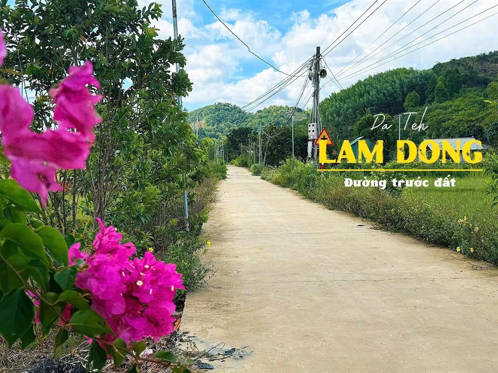 199tr tậu đất lâm đồng  đạ tẻh dt 189m2 thổ cư